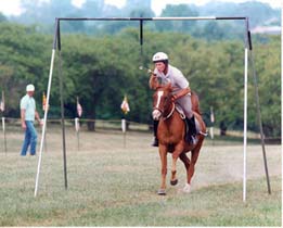 [photo, Horseback rider spearing the ring at jousting event]