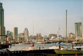 [photo, Sailboats near Baltimore Harbor, Baltimore, Maryland]
